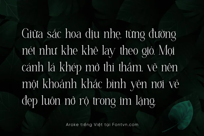 DVN Aroke tiếng Việt - Font chữ thanh mãnh và quyến rũ - Ảnh 2