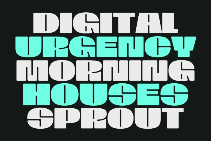 DVN AXON tiếng Việt - Font chữ đậm gây sự chú ý - Ảnh 2