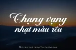 DVN Flentino - Font Chữ Script Với Những Đường Nét Uốn Lượn Đầy Mê Hoặc - Ảnh 3