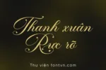 DVN Poema Script tiếng Việt - Font Chữ Ký Sang Trọng Cho Thiệp Cưới