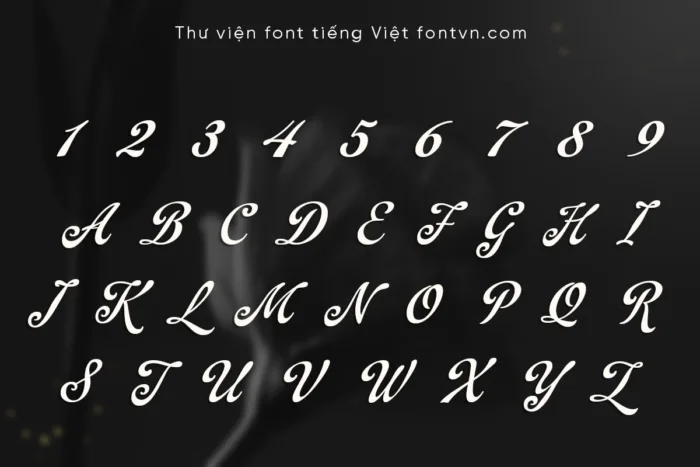 DVN All Stars - Font Script Thanh Lịch & Tối Ưu Hiển Thị - Ảnh 4