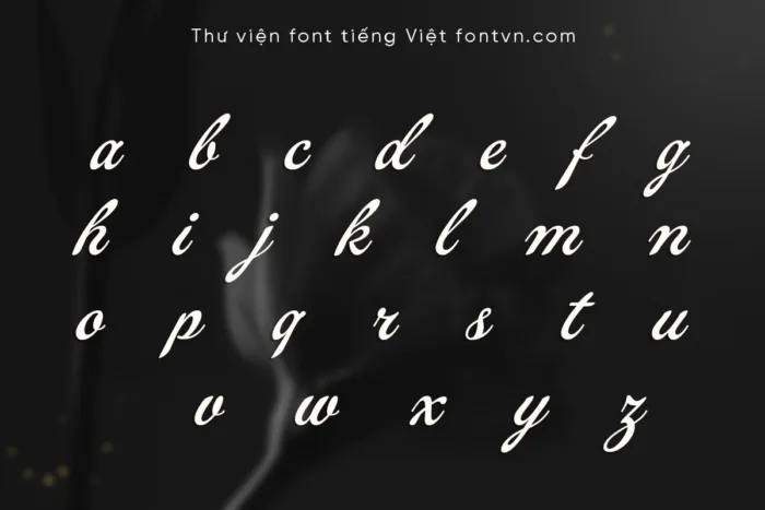 DVN All Stars - Font Script Thanh Lịch & Tối Ưu Hiển Thị - Ảnh 3