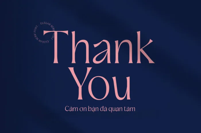 DVN Novella tiếng Việt - Font chữ Serif sang trọng và tinh tế - Ảnh 3