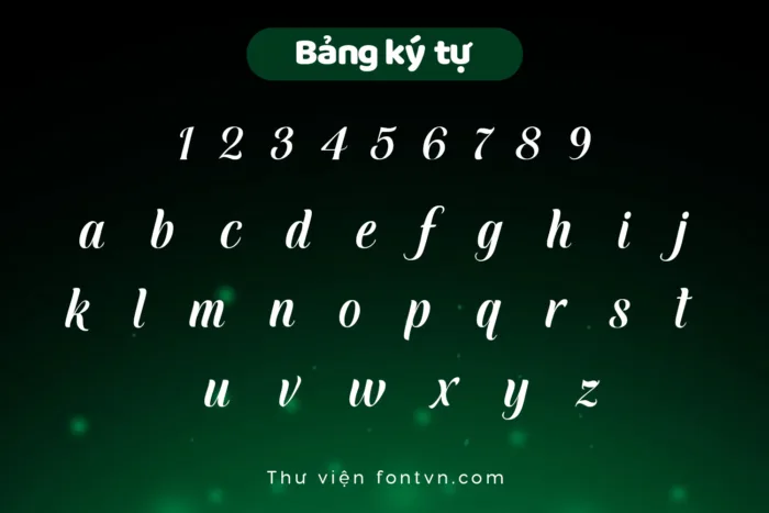 DVN - Sofel tiếng Việt - Calligraphy Cổ Điển & Sang Trọng - Ảnh 4