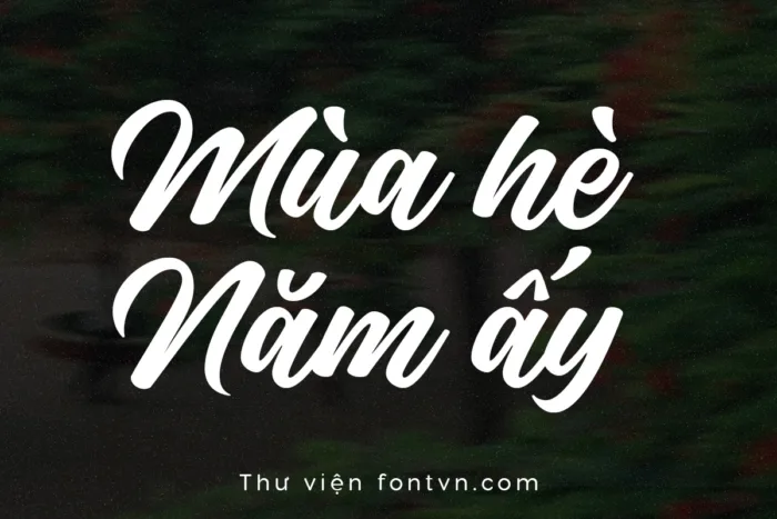 DVN Marion Script tiếng Việt - Font chữ lãng mạng và bay bổng - Ảnh 2