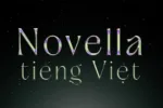 DVN Novella tiếng Việt - Font chữ Serif sang trọng và tinh tế