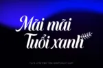 DVN - Sofel tiếng Việt - Calligraphy Cổ Điển & Sang Trọng - Ảnh 2