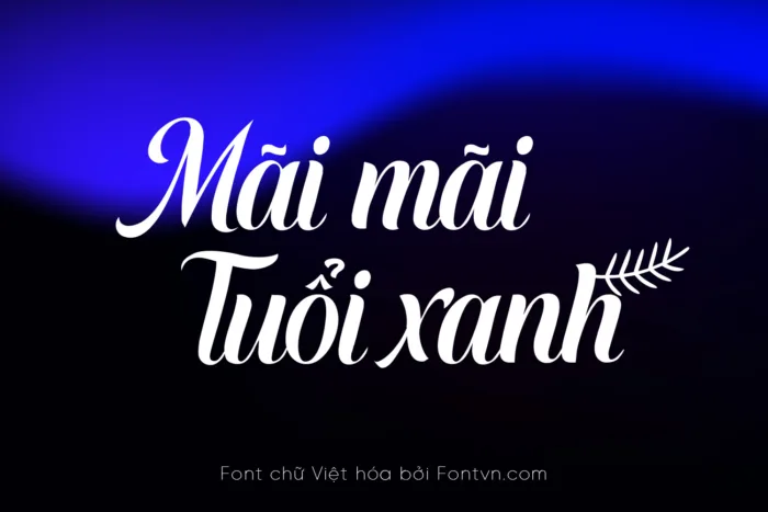 DVN - Sofel tiếng Việt - Calligraphy Cổ Điển & Sang Trọng - Ảnh 2
