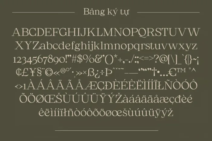 DVN Sorel tiếng Việt - Font chữ Serif cao cấp và hiện đại - Ảnh 4