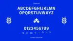 Young Typeface - Font Display tiếng Việt miễn phí - Ảnh 3