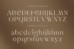 DVN Roseta tiếng Việt - Font chữ Serif Sang Trọng Và Quý Phái - Ảnh 5