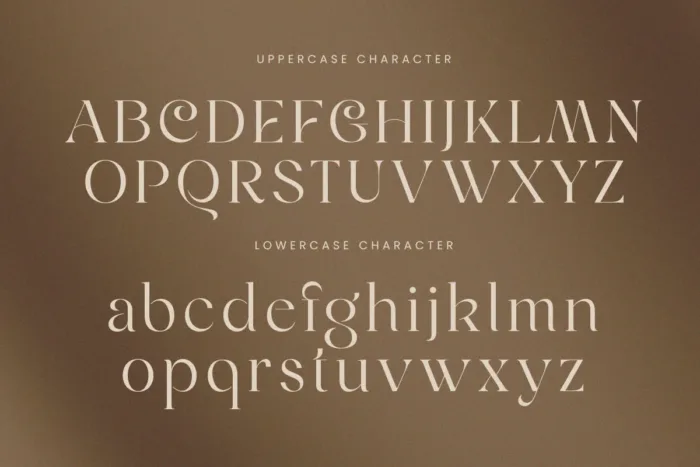 DVN Roseta tiếng Việt - Font chữ Serif Sang Trọng Và Quý Phái - Ảnh 5