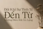 DVN Sorel tiếng Việt - Font chữ Serif cao cấp và hiện đại - Ảnh 3