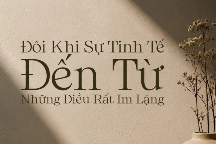DVN Sorel tiếng Việt - Font chữ Serif cao cấp và hiện đại - Ảnh 3