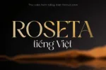 DVN Roseta tiếng Việt - Font chữ Serif Sang Trọng Và Quý Phái