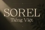 DVN Sorel tiếng Việt - Font chữ Serif cao cấp và hiện đại