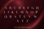 DVN Lorita tiếng Việt - Font Serif Thanh Lịch Mang Hơi hướng Boutique Hiện Đại - Ảnh 4