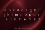DVN Lorita tiếng Việt - Font Serif Thanh Lịch Mang Hơi hướng Boutique Hiện Đại - Ảnh 3