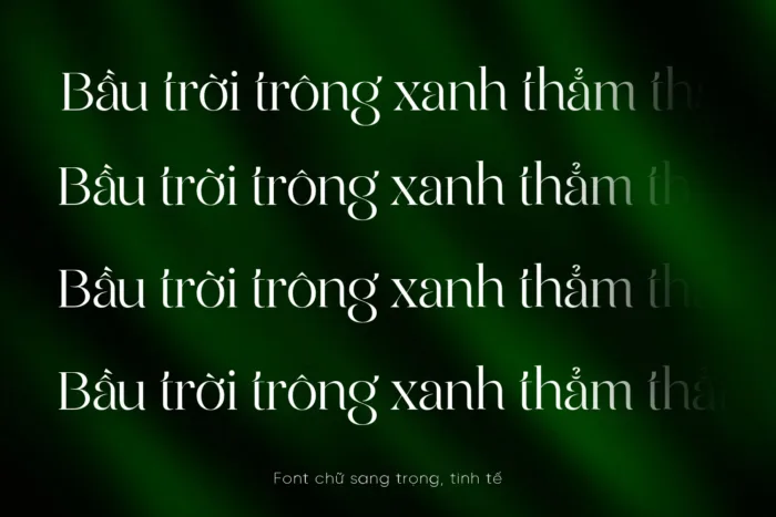 DVN Roseta tiếng Việt - Font chữ Serif Sang Trọng Và Quý Phái - Ảnh 4