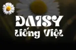 DVN Daisy tiếng Việt - Font chữ hiển thị đẹp mắt