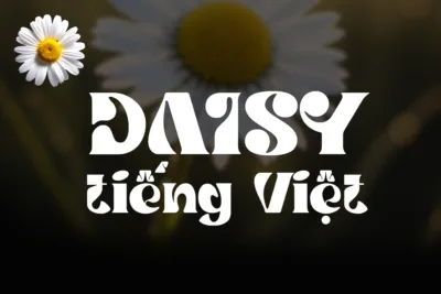 daisy