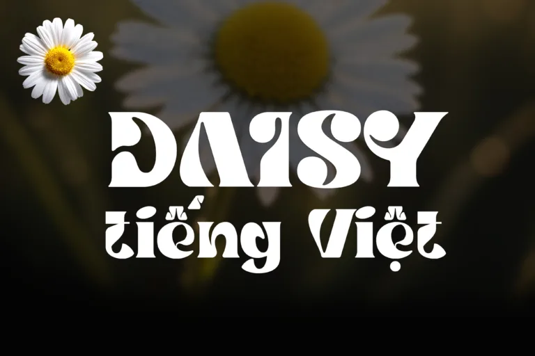 daisy