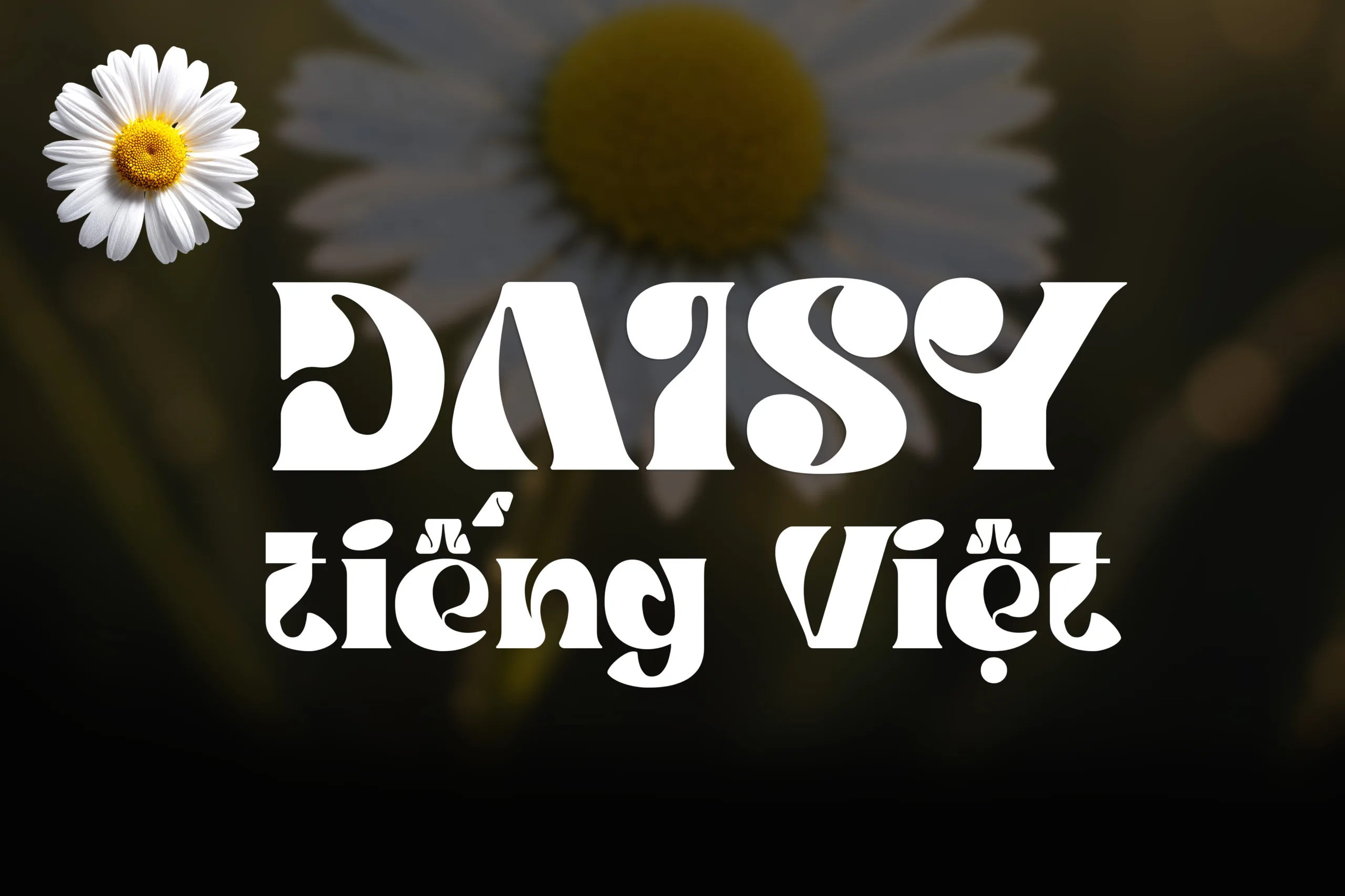 daisy DVN Daisy tiếng Việt - Font chữ hiển thị đẹp mắt - Ảnh 1