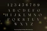 DVN Regis tiếng Việt - Font Serif Cao Cấp Cho Branding & Thiết Kế Thời Trang - Ảnh 4