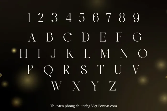 DVN Regis tiếng Việt - Font Serif Cao Cấp Cho Branding & Thiết Kế Thời Trang - Ảnh 4