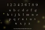 DVN Regis tiếng Việt - Font Serif Cao Cấp Cho Branding & Thiết Kế Thời Trang - Ảnh 3