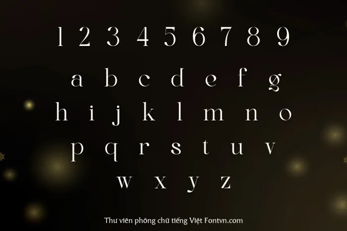 DVN Regis tiếng Việt - Font Serif Cao Cấp Cho Branding & Thiết Kế Thời Trang - Ảnh 3