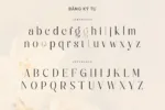 DVN Varigo tiếng Việt - Premium Serif Font Cho Logo & Thương Hiệu - Ảnh 5