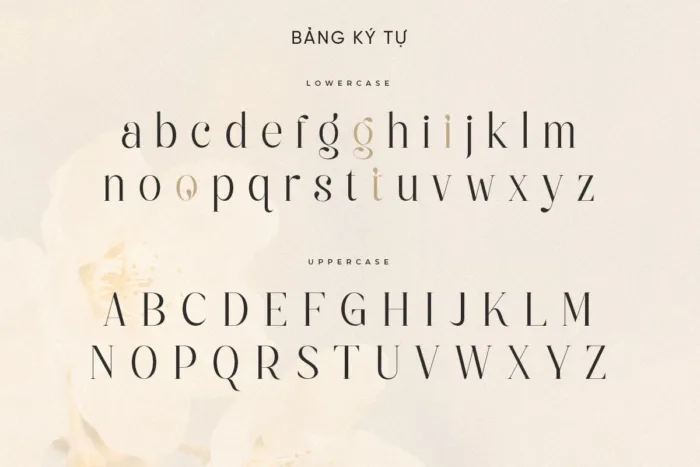 DVN Varigo tiếng Việt - Premium Serif Font Cho Logo & Thương Hiệu - Ảnh 5