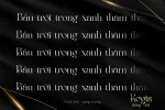 DVN Regis tiếng Việt - Font Serif Cao Cấp Cho Branding & Thiết Kế Thời Trang - Ảnh 2