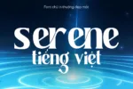 DVN Serene tiếng Việt - Font Serif Thanh Lịch Cho Thiết Kế Editorial & Branding