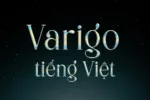 DVN Varigo tiếng Việt - Premium Serif Font Cho Logo & Thương Hiệu - Ảnh 2