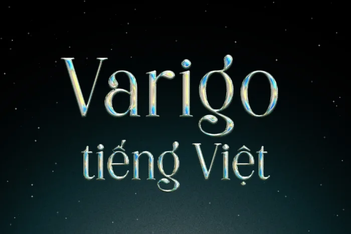 DVN Varigo tiếng Việt - Premium Serif Font Cho Logo & Thương Hiệu - Ảnh 2