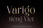 DVN Varigo tiếng Việt - Premium Serif Font Cho Logo & Thương Hiệu