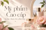 DVN Muse tiếng Việt - Font Serif Thanh Lịch, Nghệ Thuật & Đầy Cảm Hứng - Ảnh 3
